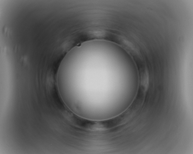 X0000113890518200910011325