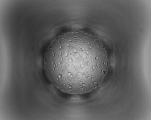 X0000113890519200910011325