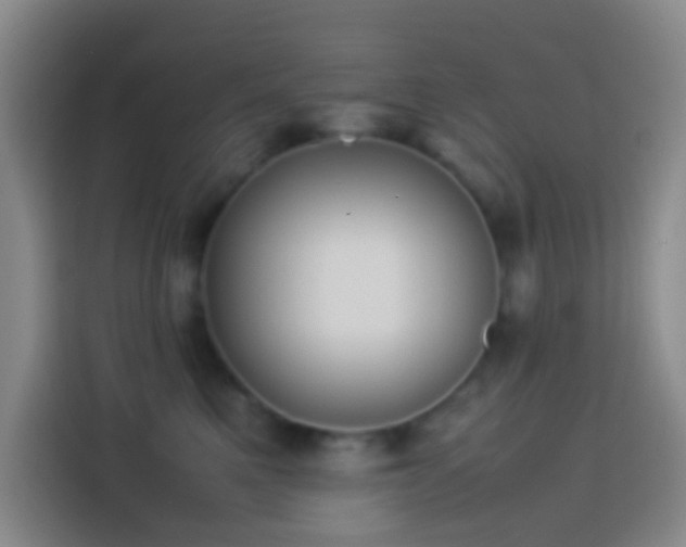 X0000113890521200910011325