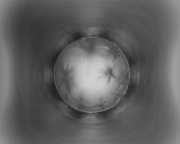 X0000113890523200910011325