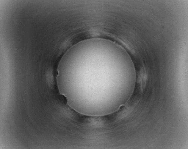 X0000113890524200910011325