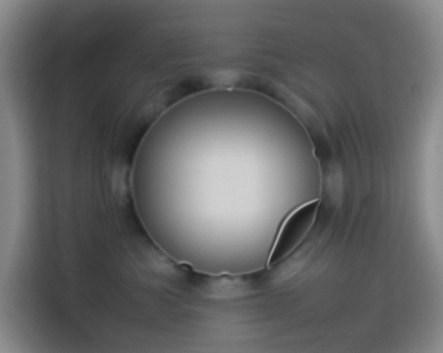 X0000113890525200910011325