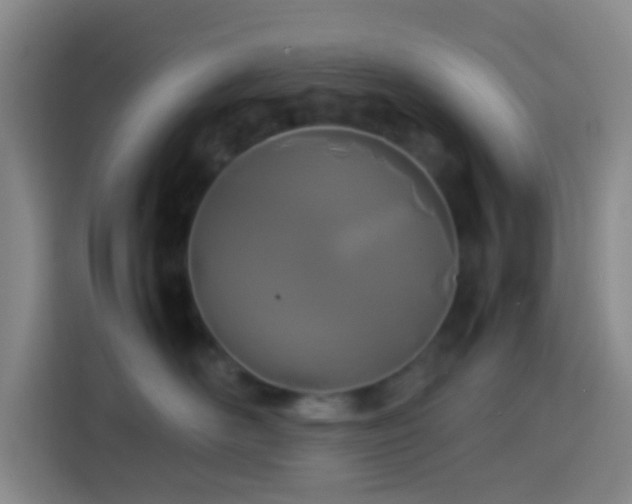 X0000113890526200910011325