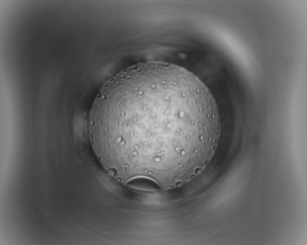 X0000113890527200910011325