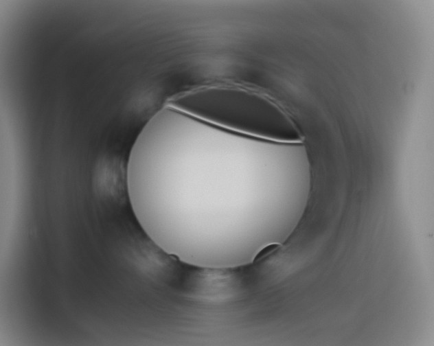 X0000113890528200910011325