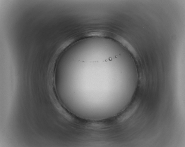 X0000113890529200910011324