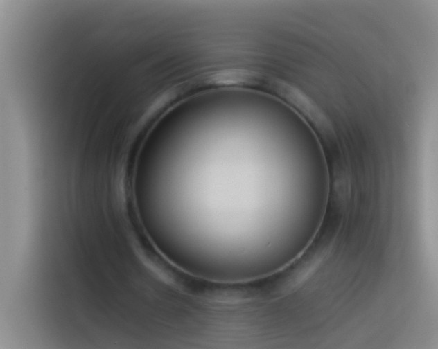 X0000113890530200910011324