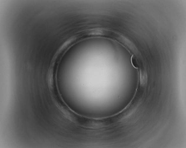 X0000113890531200910011324