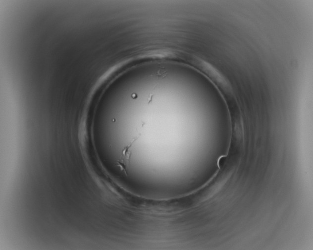 X0000113890532200910011324