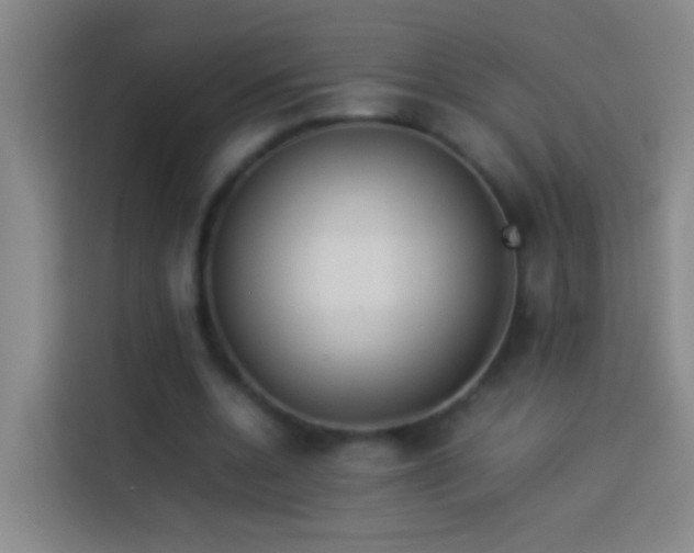 X0000113890536200910011324