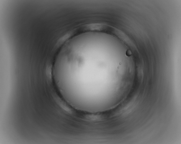 X0000113890537200910011324