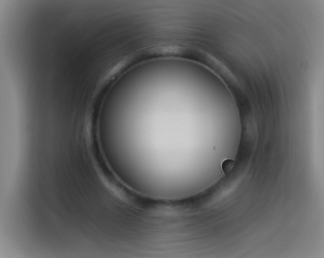 X0000113890538200910011324