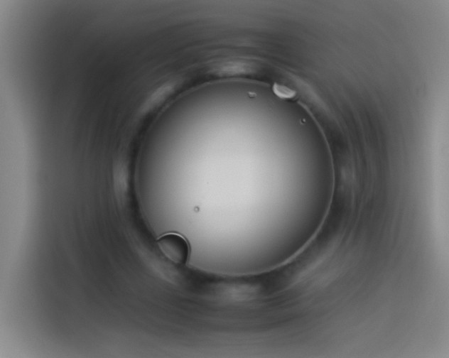 X0000113890539200910011324