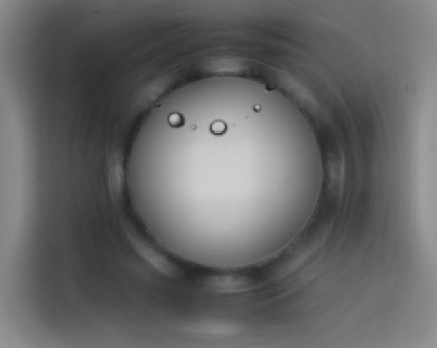 X0000113890541200910011324