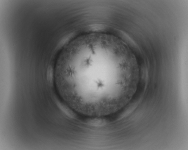 X0000113890542200910011324