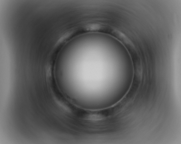 X0000113890543200910011324