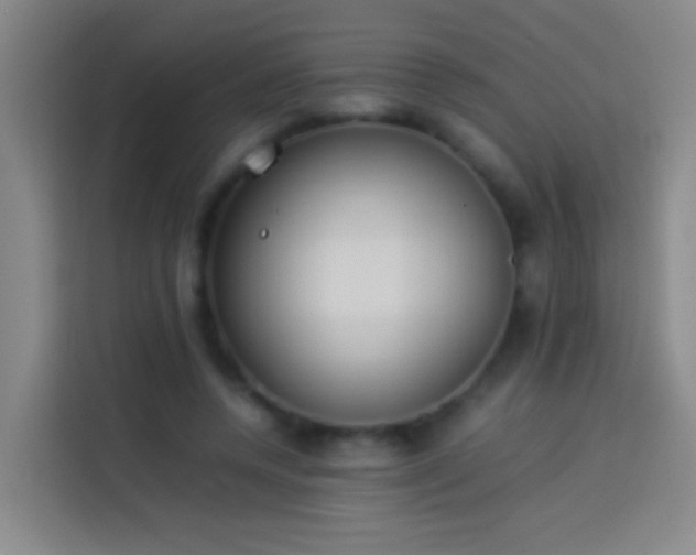 X0000113890544200910011324