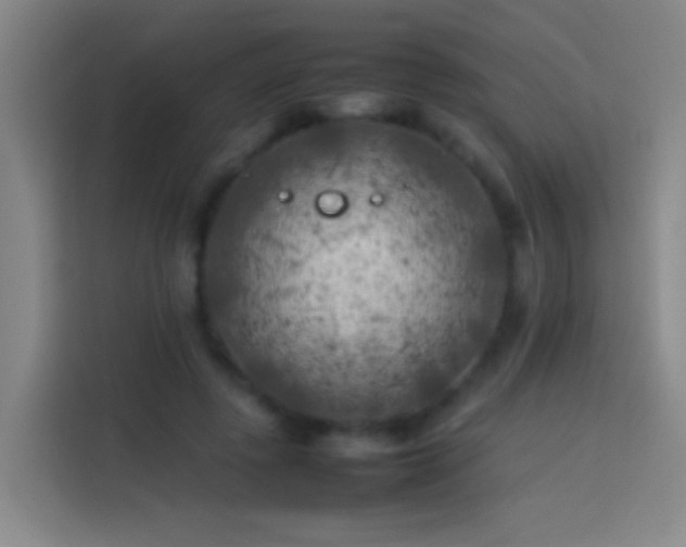 X0000113890545200910011324