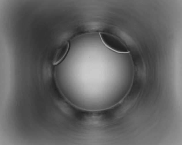 X0000113890546200910011325