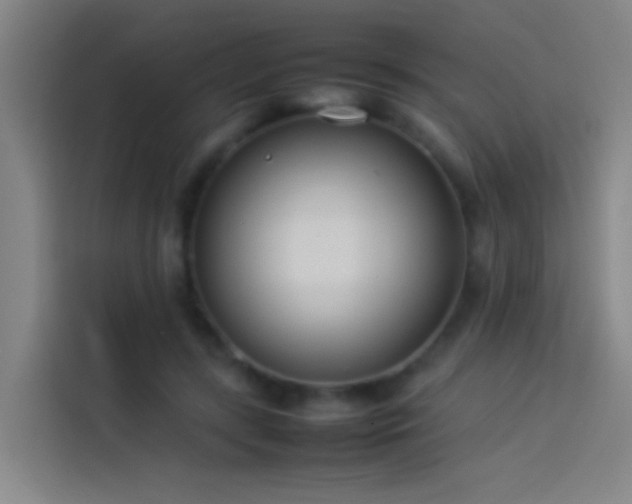 X0000113890547200910011325