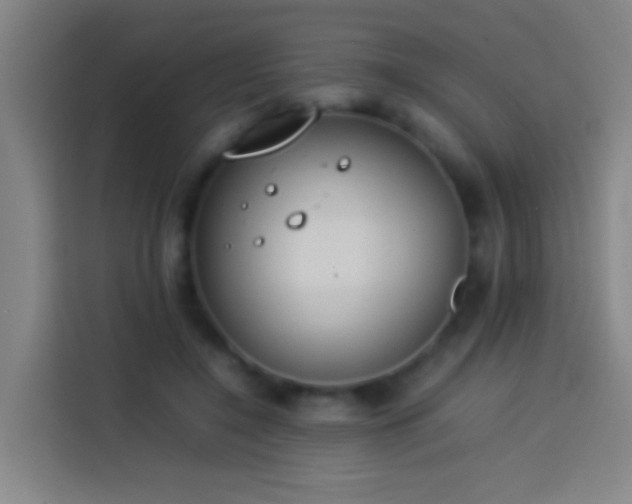 X0000113890548200910011325