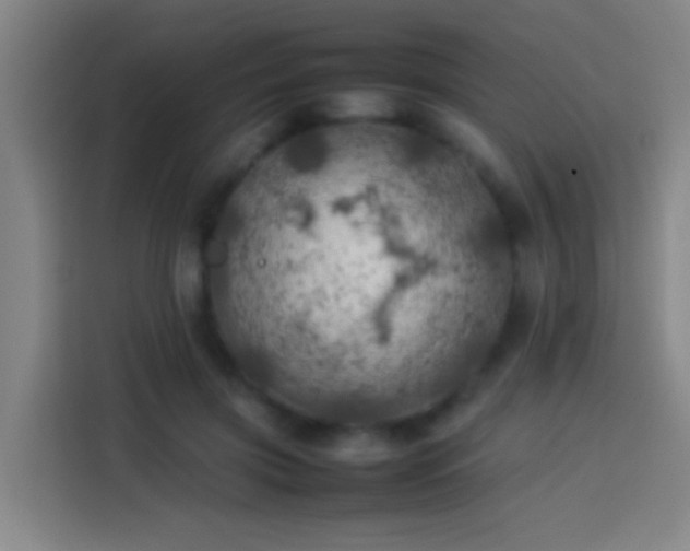 X0000113890549200910011325