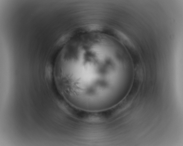 X0000113890550200910011325
