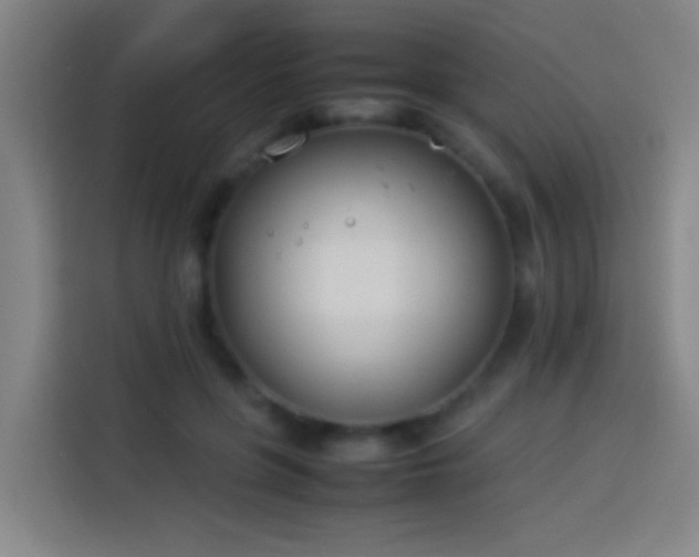 X0000113890551200910011325