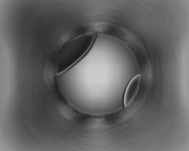 X0000113890552200910011325