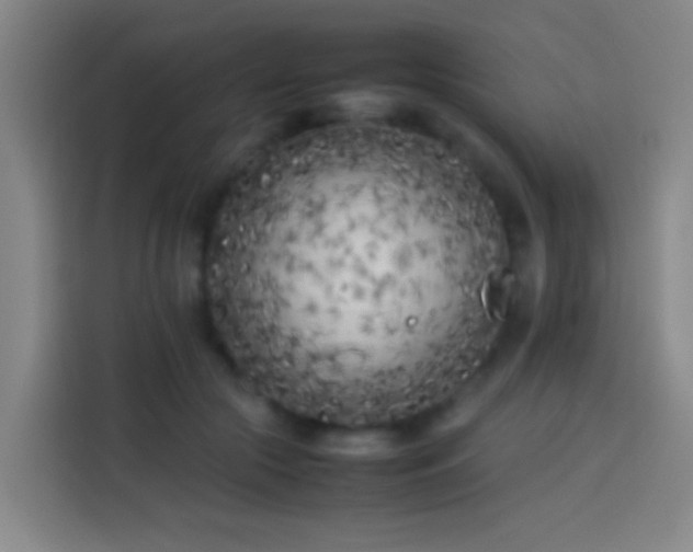 X0000113890553200910011325