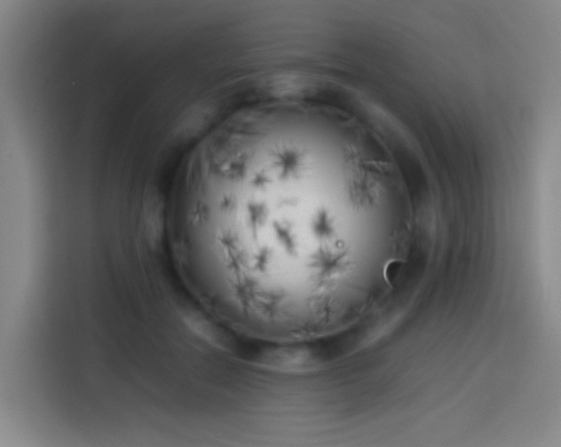 X0000113890554200910011325