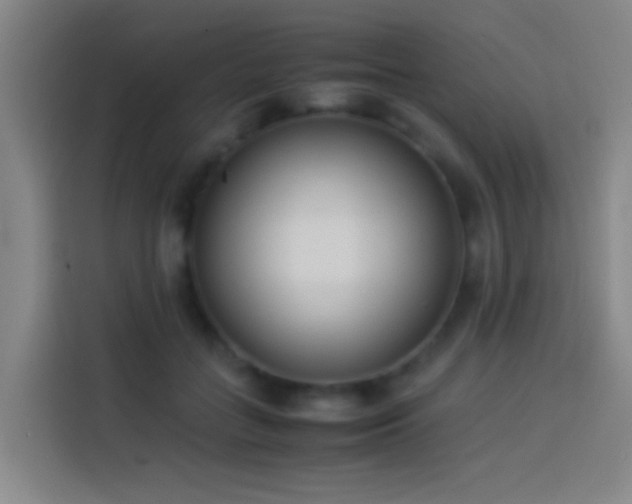 X0000113890555200910011325