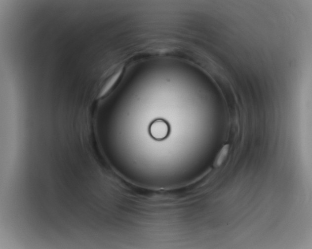 X0000113890556200910011325