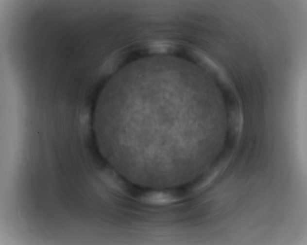 X0000113890557200910011325