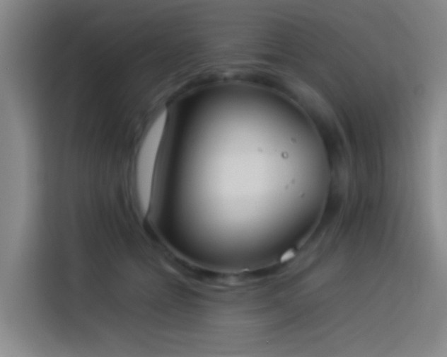 X0000113890558200910011325