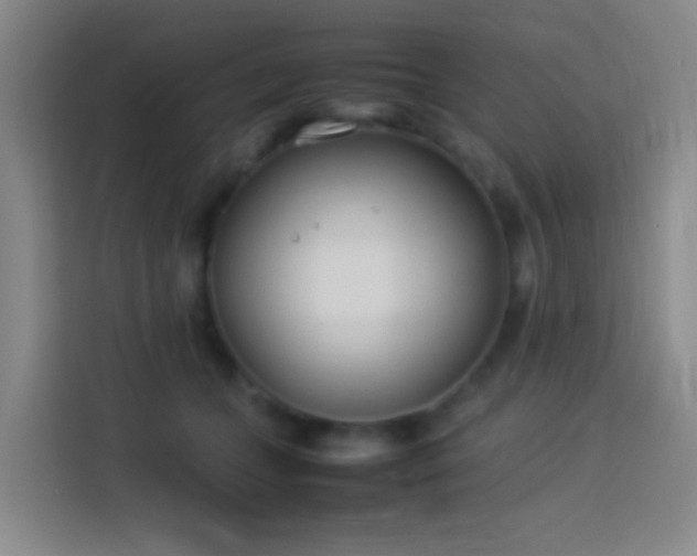 X0000113890559200910011325