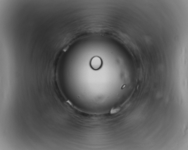 X0000113890560200910011325