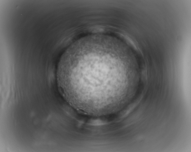 X0000113890561200910011325