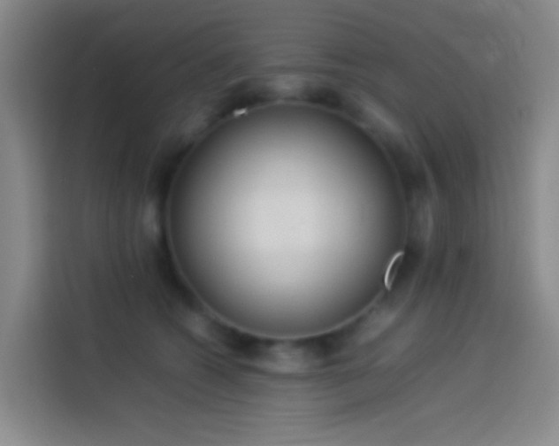 X0000113890562200910011325