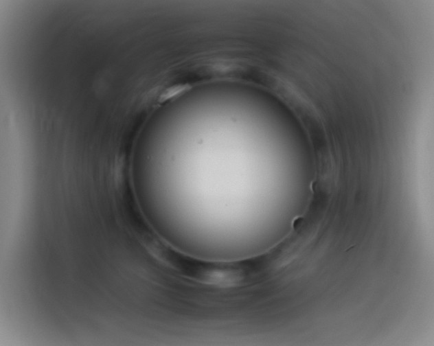 X0000113890563200910011325