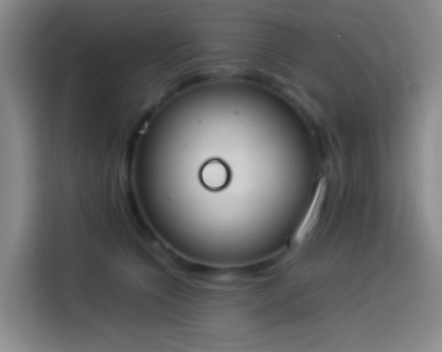 X0000113890564200910011325