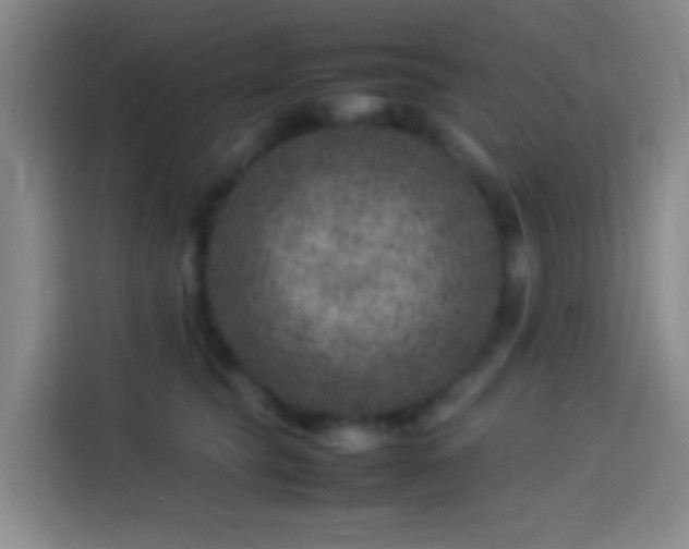 X0000113890565200910011325