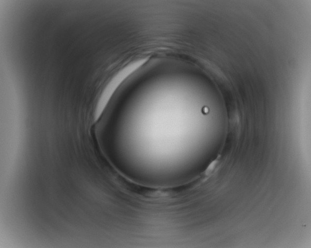 X0000113890566200910011325