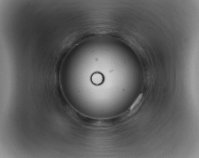 X0000113890568200910011325