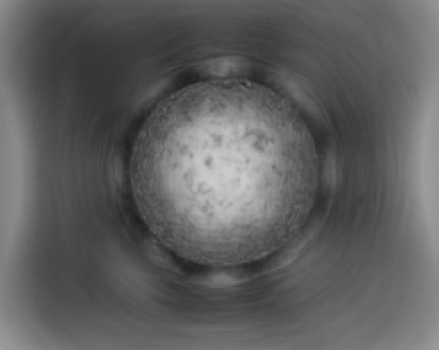 X0000113890569200910011325