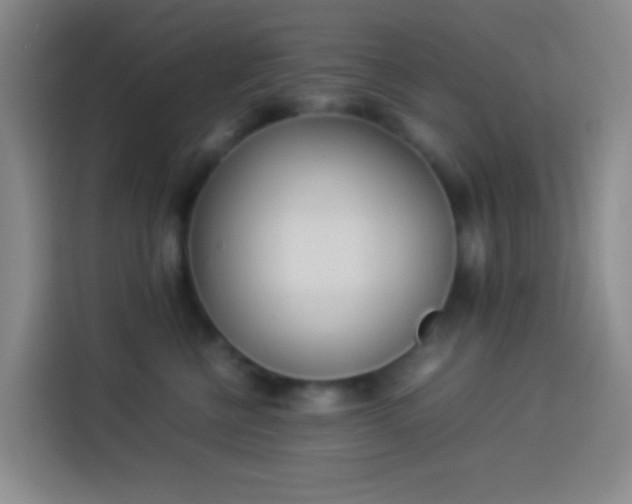 X0000113890570200910011325