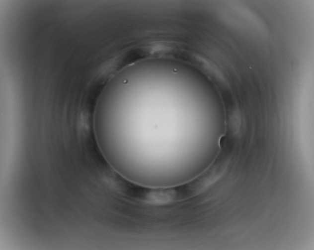 X0000113890571200910011325