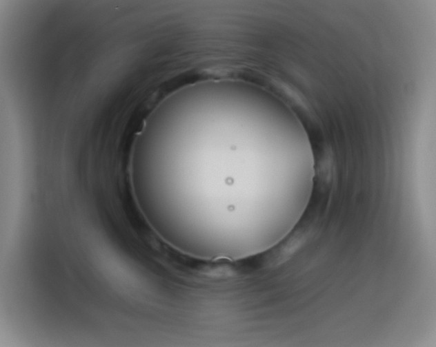 X0000113890572200910011325