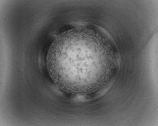 X0000113890573200910011325