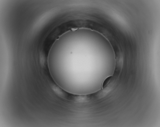 X0000113890574200910011325